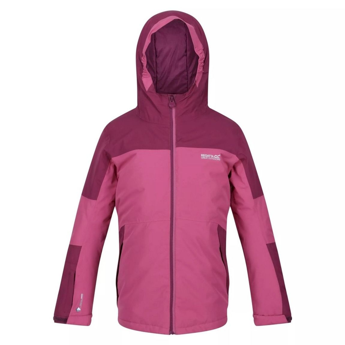 Veste Beamz II Violet / Pourpre main product photo
