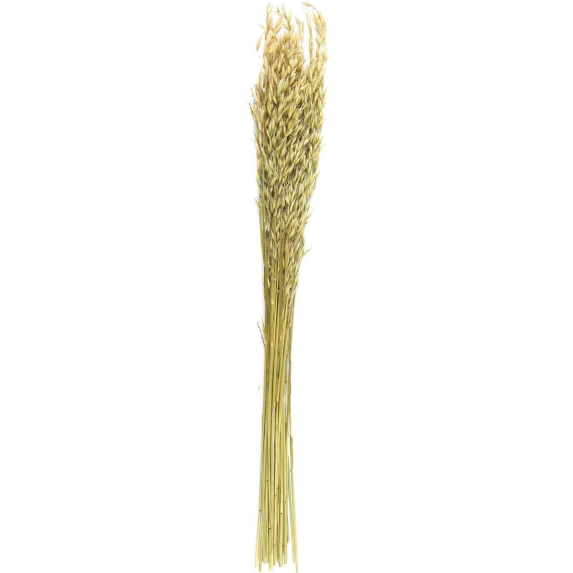 Bouquet de fleur séchée 75 cm main product photo