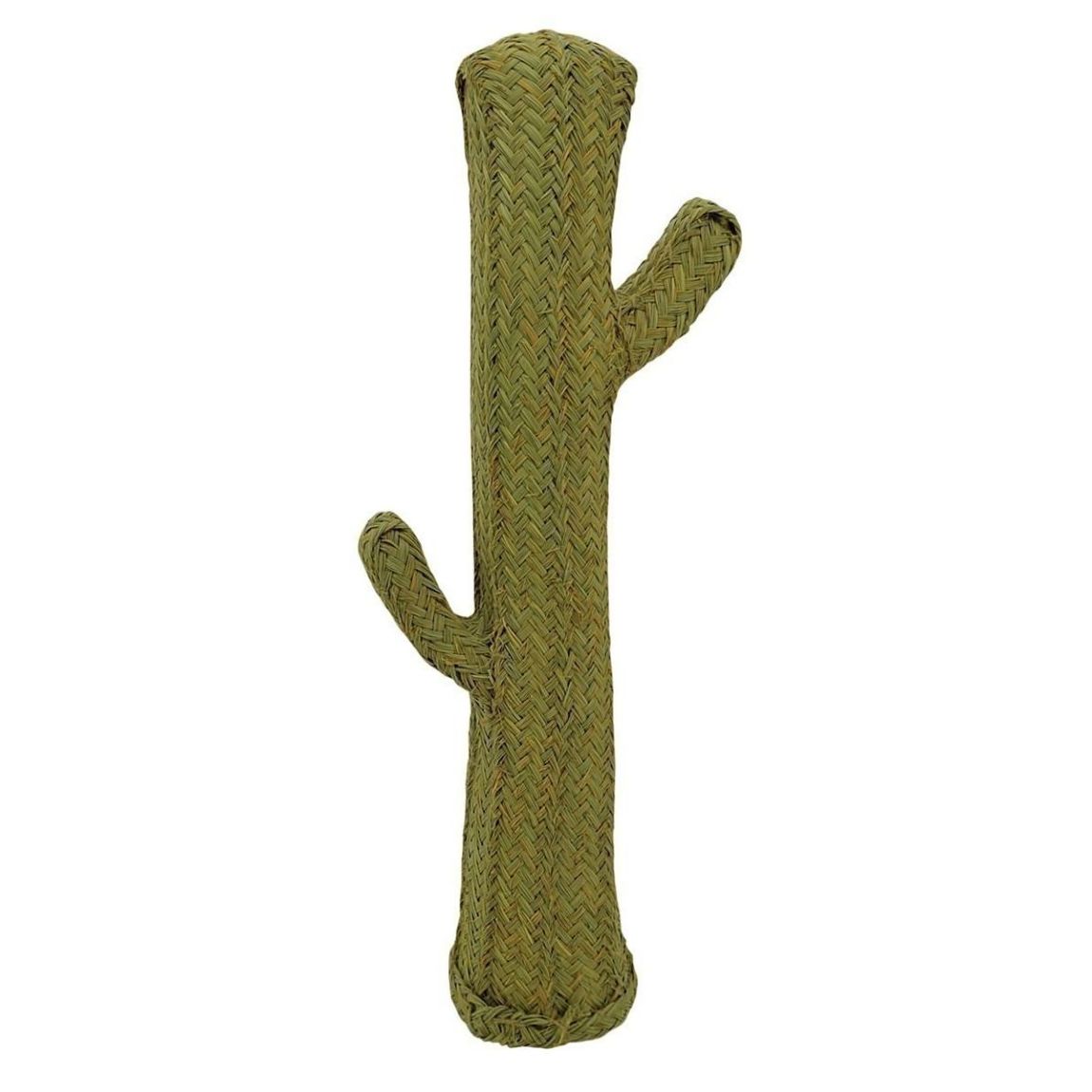 Cactus en alpha Hauteur 105 cm main product photo