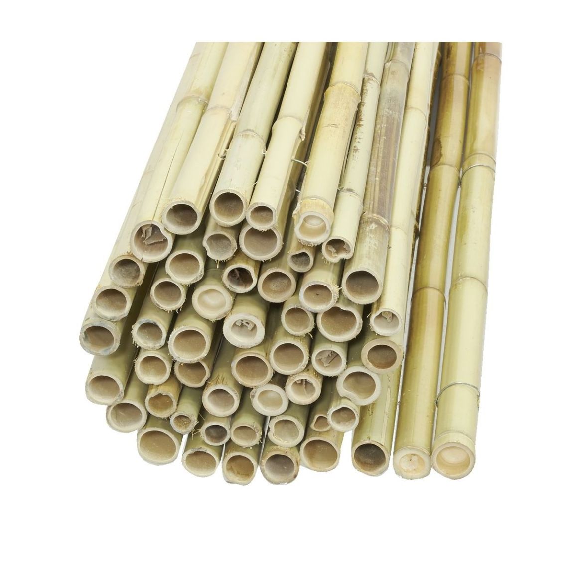 Canisse en bambou 2 x 1,8 m main product photo